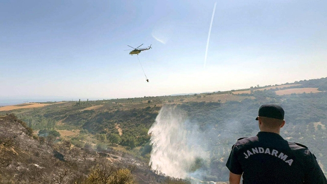 Tekirdağ'da makilik yangını: 2,5 hektarlık alan zarar gördü