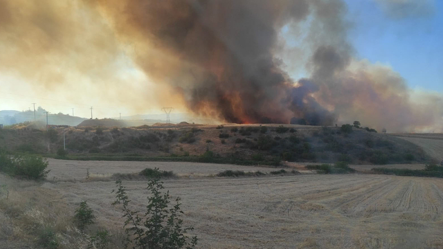 Bilecik'te orman yangını