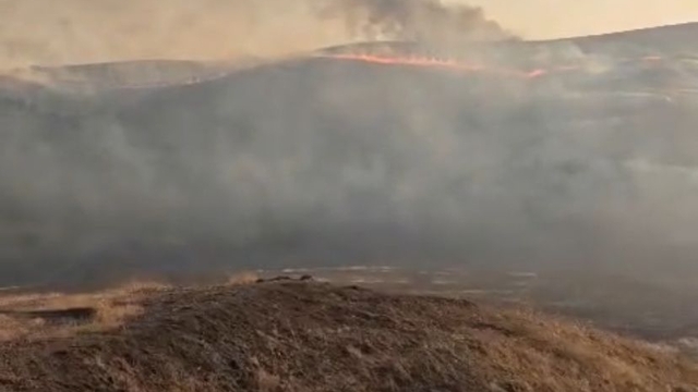 Diyarbakır'da anız yangını; ekiplerin müdahalesi sürüyor