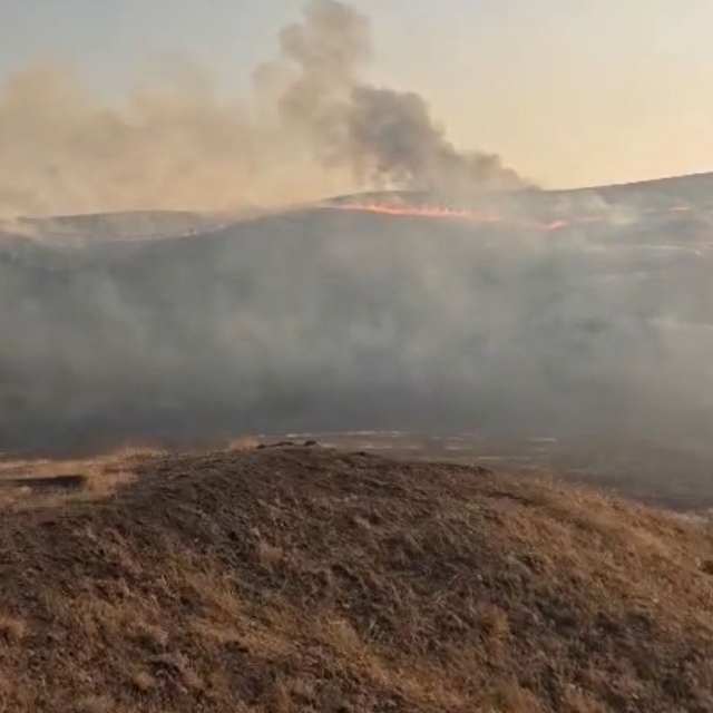 Diyarbakır'da anız yangını; ekiplerin müdahalesi sürüyor