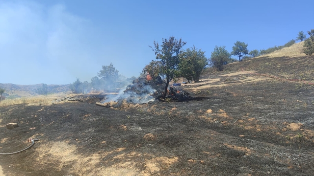 GÜNCELLEME - İzmir'in Torbalı ilçesinde çıkan orman yangını kontrol altına alındı