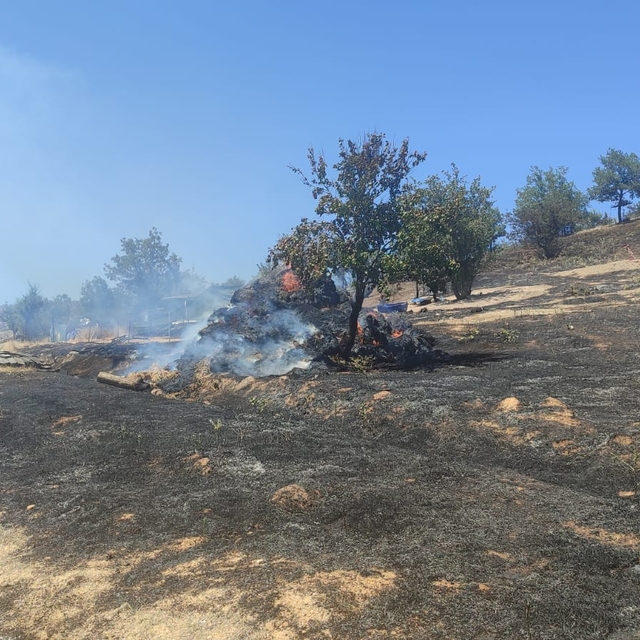 GÜNCELLEME - İzmir'in Torbalı ilçesinde çıkan orman yangını kontrol altına...