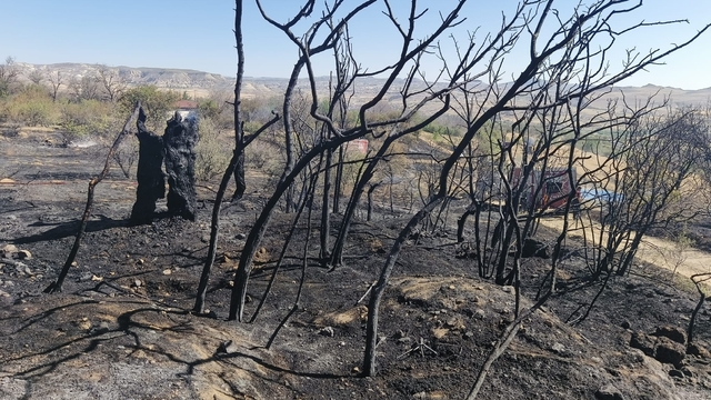 Nevşehir'de ağaçlık alanda çıkan yangın söndürüldü