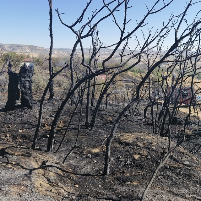 Nevşehir'de ağaçlık alanda çıkan yangın söndürüldü
