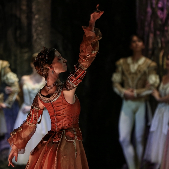 "Kuğu Gölü Balesi" Bursa'da sanatseverlerle buluştu