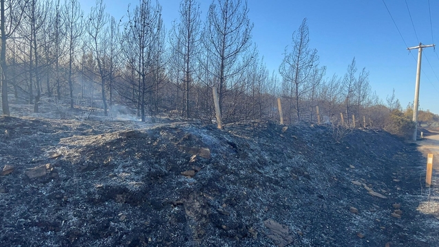 İzmir'de yangın; 19 saattir devam ediyor