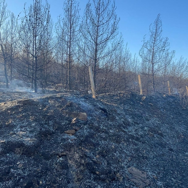 İzmir'de yangın; 19 saattir devam ediyor