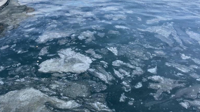 Çanakkale Boğazı'nda müsilaj etkisini kaybetti