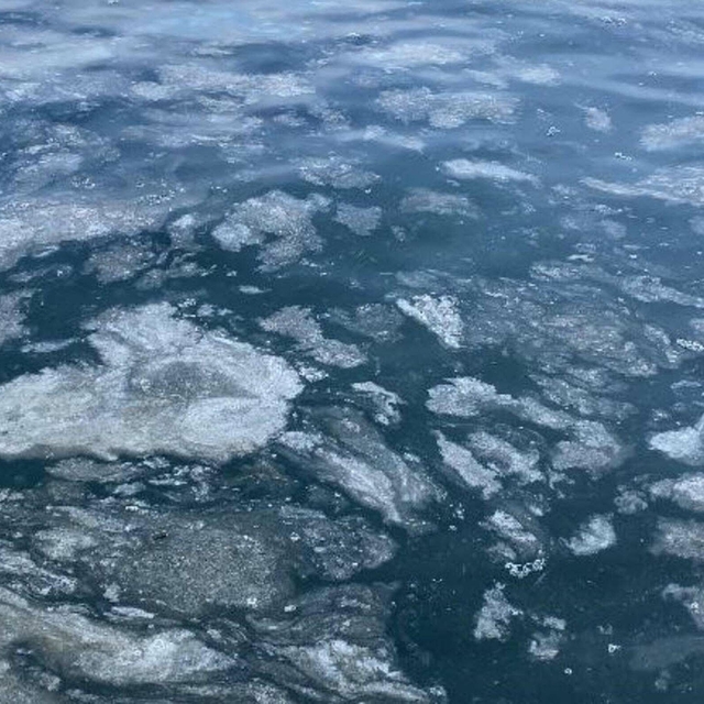 Çanakkale Boğazı'nda müsilaj etkisini kaybetti
