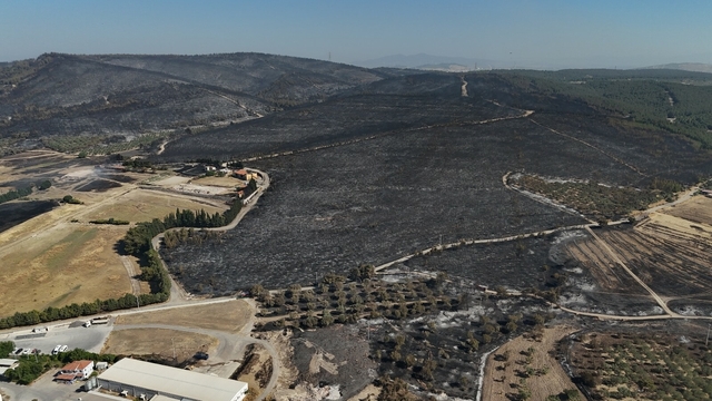 İzmir'deki orman yangınında 2'nci gün (2)