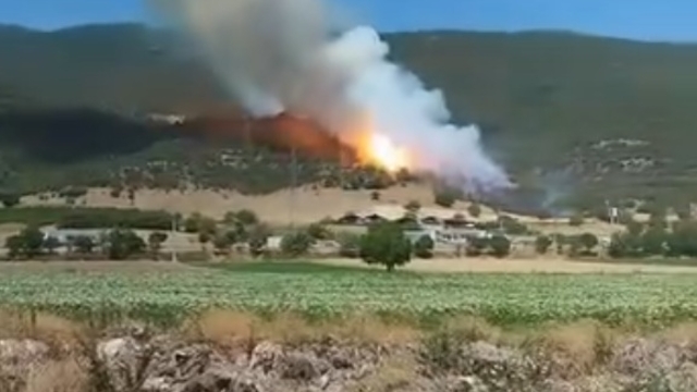 Bursa'da orman yangını (2)