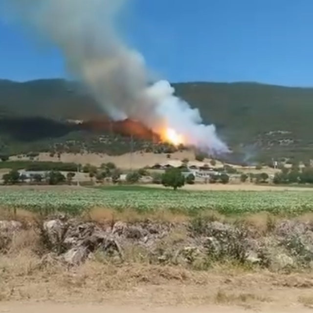 Bursa'da orman yangını (2)