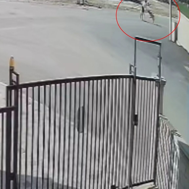 Köpeğini gezdiren kadına, sokak köpekleri saldırdı; o anlar kamerada