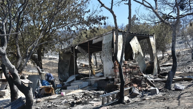 İzmir'deki orman yangınında 2'nci gün (5)