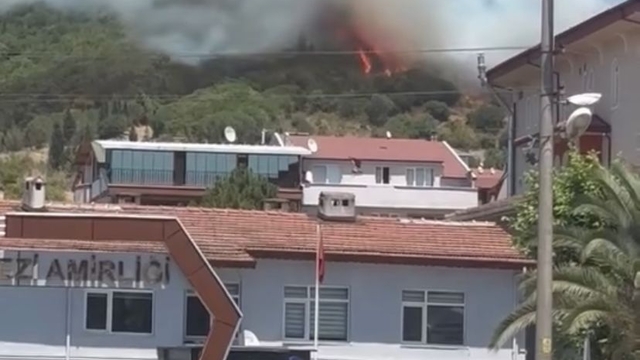 Kocaeli'de makilik yangını