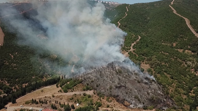 Kocaeli'de makilik ve ağaçlık alanda çıkan yangına müdahale ediliyor