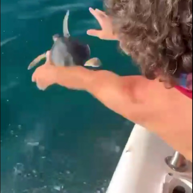 Çuvala dolanan yavru deniz kaplumbağasını balıkçılar kurtardı