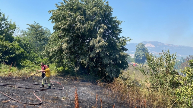 Bursa'da ormanlık alanda çıkan yangın söndürüldü