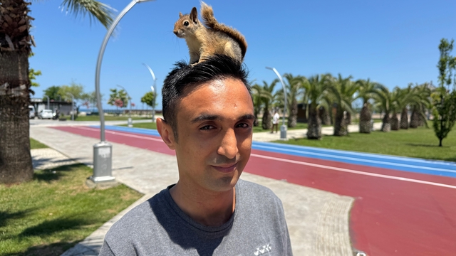 Doğada yaralı bulduğu sincap, en yakın arkadaşı oldu