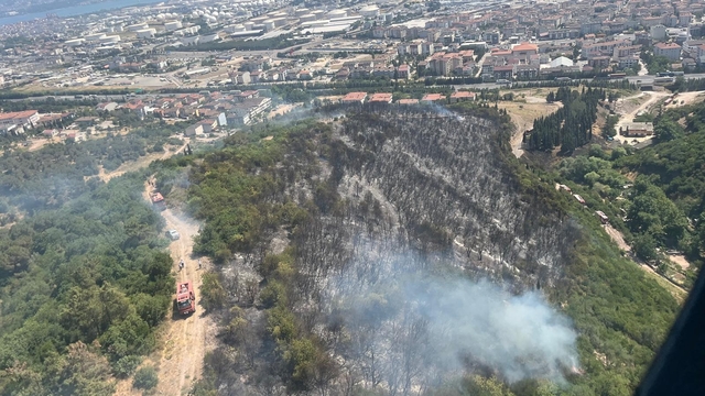 Kocaeli'de makilik yangını (3)