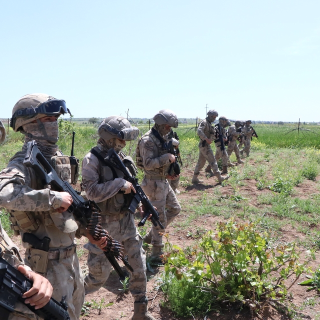 Şanlıurfa'da silah kaçakçılığı operasyonunda 5 gözaltı