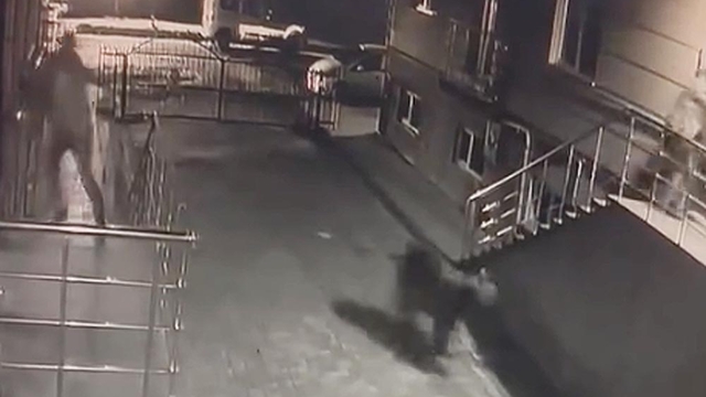 Sitenin girişinde gelen ayı kamerada