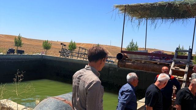 Serinlemek için girdiği sulama havuzunda boğuldu