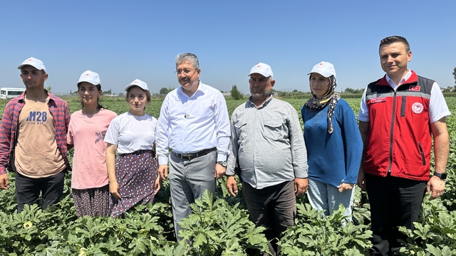 Osmaniye Valisi Yılmaz, bamya hasadına katıldı