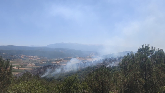 Bursa'da orman yangını (4)