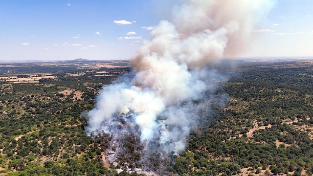 Edirne'de orman yangını (2)