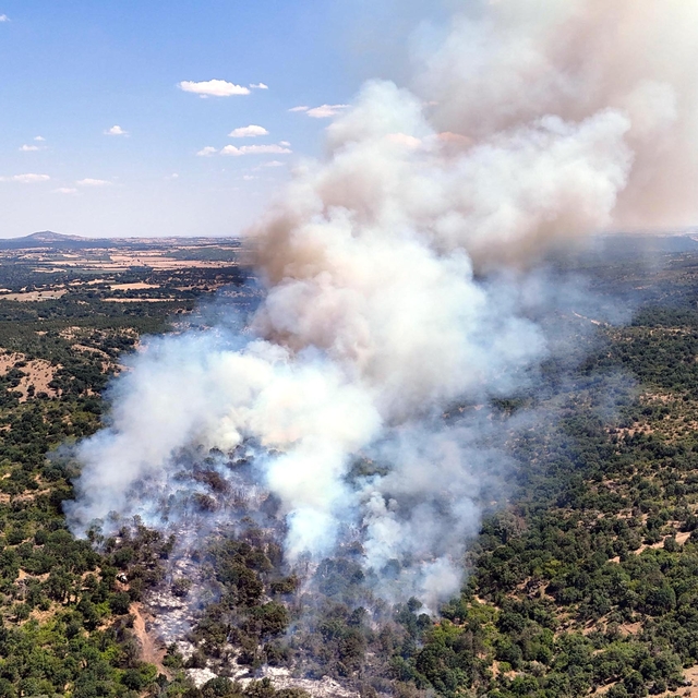 Edirne'de orman yangını (2)