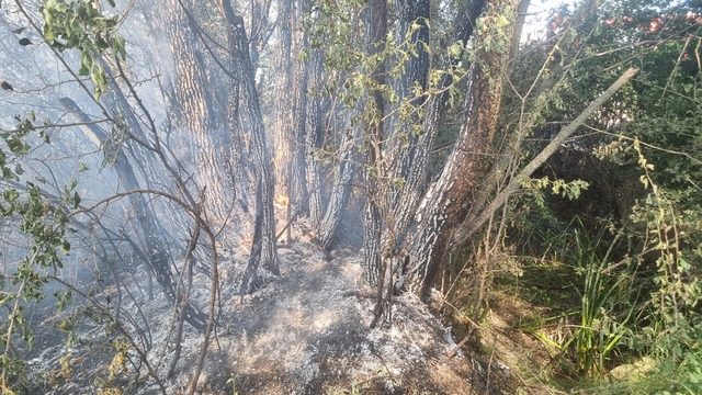 Çorum'da yangın sonucu 160 dönüm arazi ile 3 ev zarar gördü