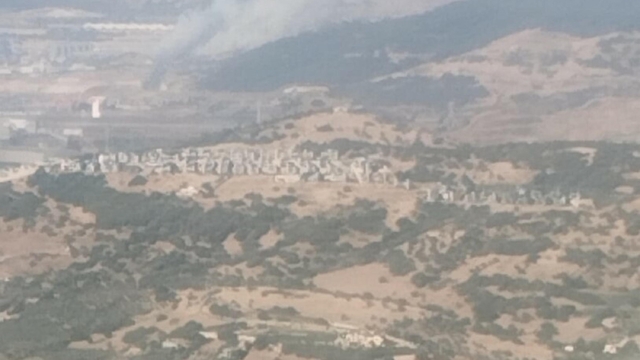 İzmir'de sanayide çıkan yangın ormana sıçradı