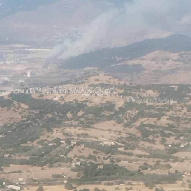 İzmir'de sanayide çıkan yangın ormana sıçradı
