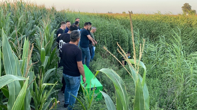 Adana'da, dere yatağında erkek cesedi bulundu