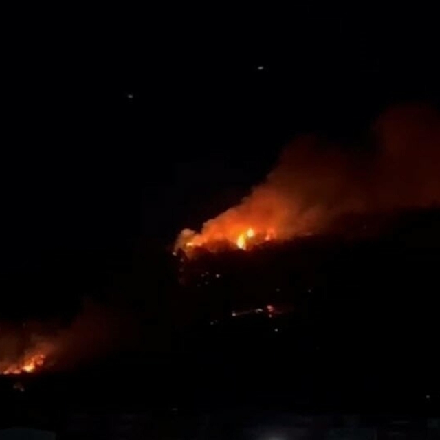 İzmir'de sanayide çıkan yangın ormana sıçradı (3)