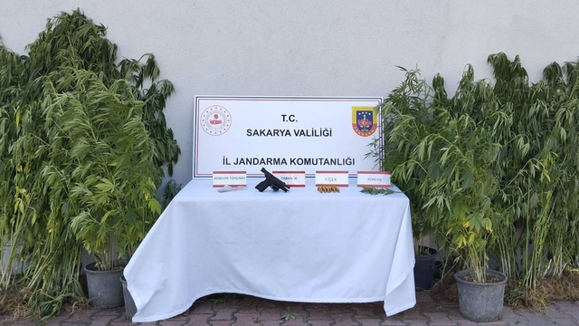 Sakarya'da uyuşturucu operasyonunda 1 şüpheli tutuklandı