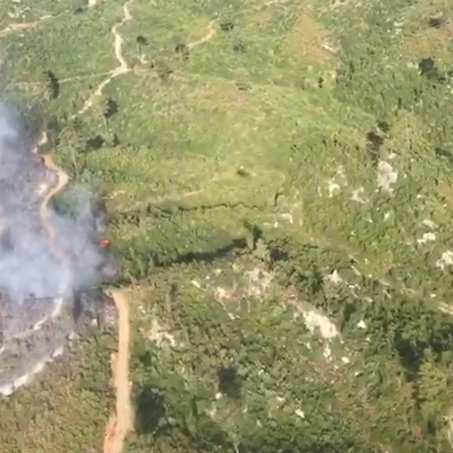 Antalya'nın 2 ilçesinde orman yangını