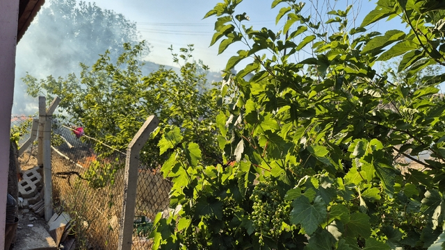 Bahşılı'da ot yangını evlere sıçramadan söndürüldü