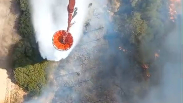 İzmir Aliağa'da orman yangını