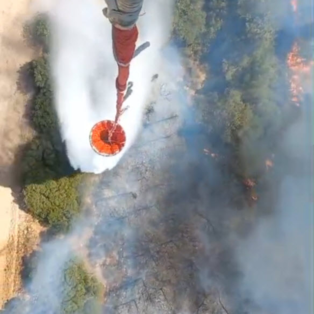 İzmir Aliağa'da orman yangını
