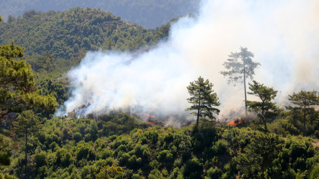 Antalya'nın 3 ilçesinde orman yangını (3)