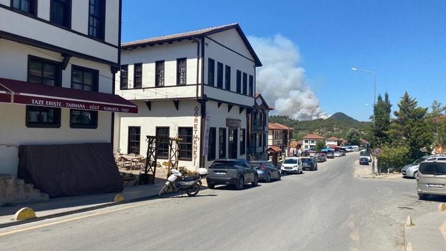 Sakarya'da ormanlık alanda çıkan yangına müdahale ediliyor
