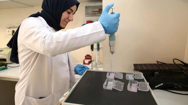 Bilim insanları, Alzheimer hastalığını kan tahliliyle erken teşhis için çalışıyor