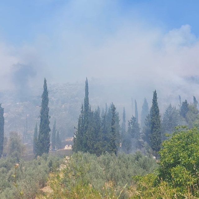 Bursa'da tarım alanında çıkan yangına müdahale ediliyor