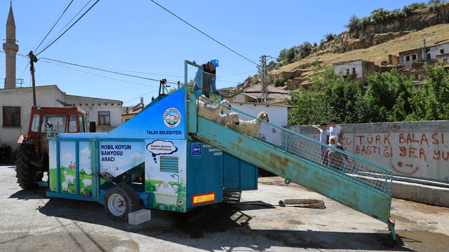 Kayseri'de küçükbaş hayvanlar keneye karşı "mobil banyo" ile dezenfekte ediliyor