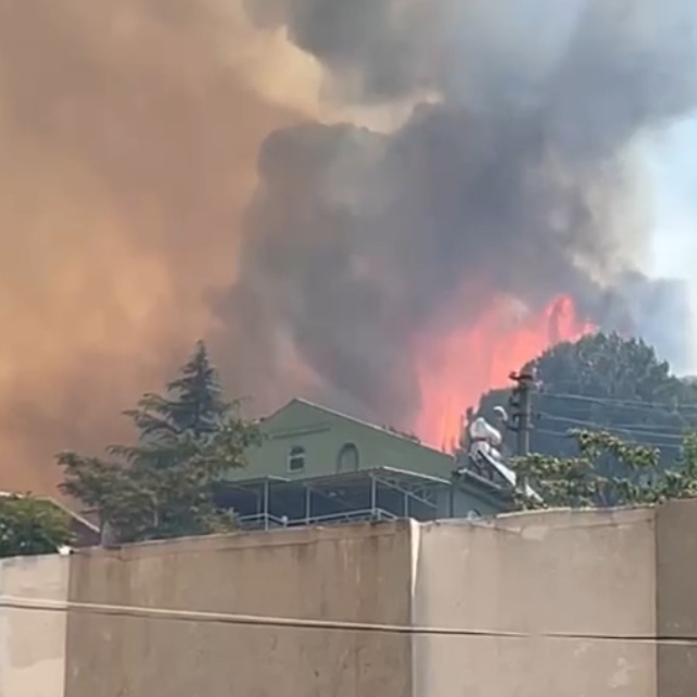 Bursa'da maki yangını; alevler evlere sıçradı (2)