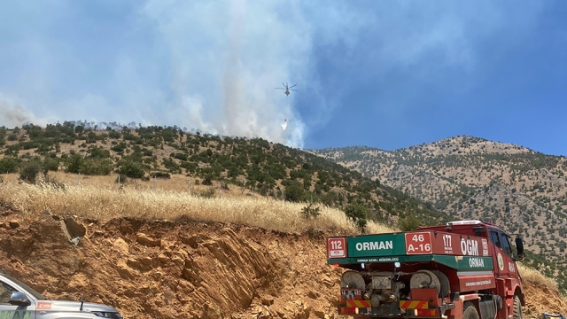 Kahramanmaraş'ta 2 ayrı orman yangını