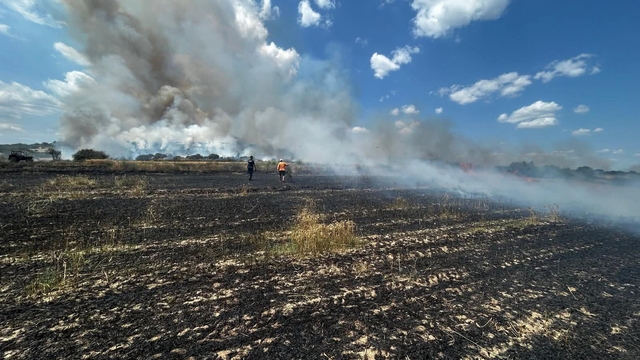 Saros'ta çıkan tarla ve orman yangınıyla ilgili savcılığa suç duyurusu