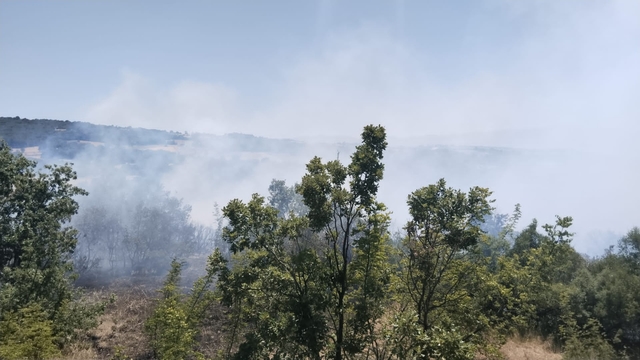 İnegöl'de orman yangını